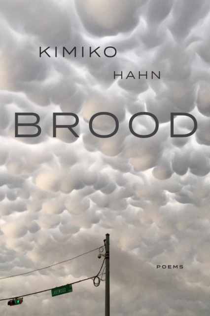 Book Cover for Brood by Kimiko Hahn