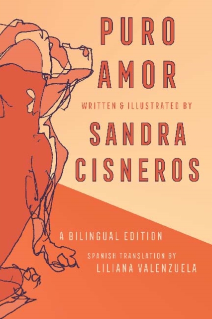 Book Cover for Puro Amor by Cisneros, Sandra