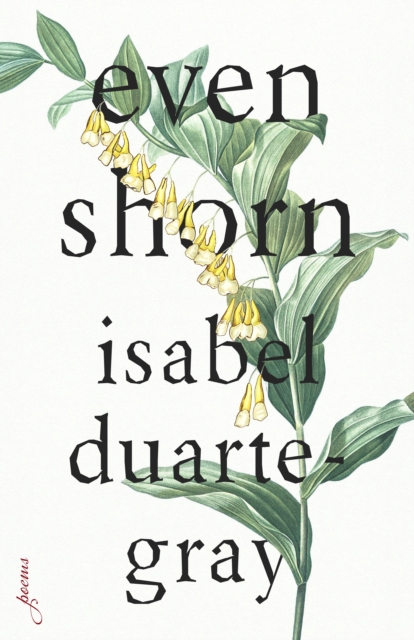 Book Cover for Even Shorn by Isabel Duarte-Gray