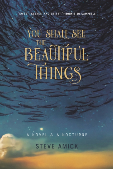 Book Cover for You Shall See the Beautiful Things by Amick Steve Amick