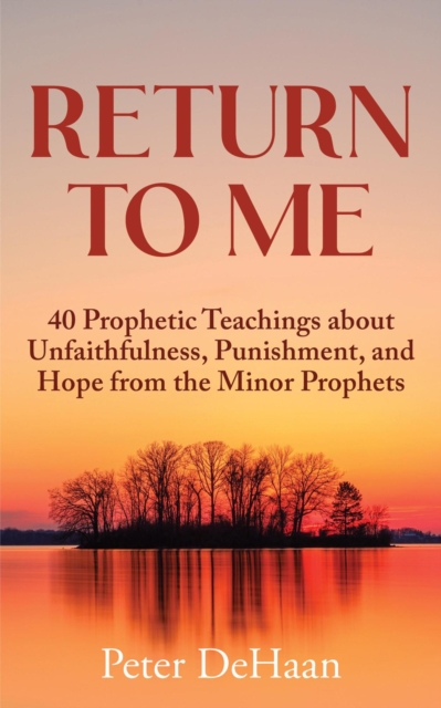 Book Cover for Return to Me by Peter DeHaan