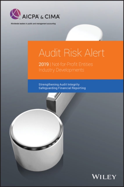 Book Cover for Audit Risk Alert by AICPA