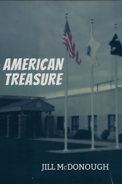 Book Cover for American Treasure by McDonough, Jill