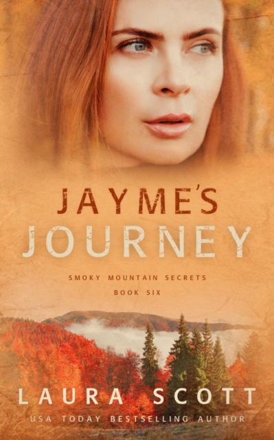 Book Cover for Jayme's Journey by Laura Scott