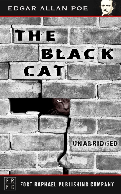 Book Cover for Black Cat - Unabridged by Edgar Allan Poe