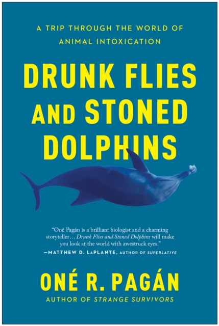 Book Cover for Drunk Flies and Stoned Dolphins by One R. Pagan