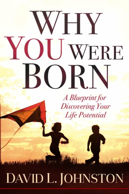 Book Cover for Why You Were Born by David L. Johnston