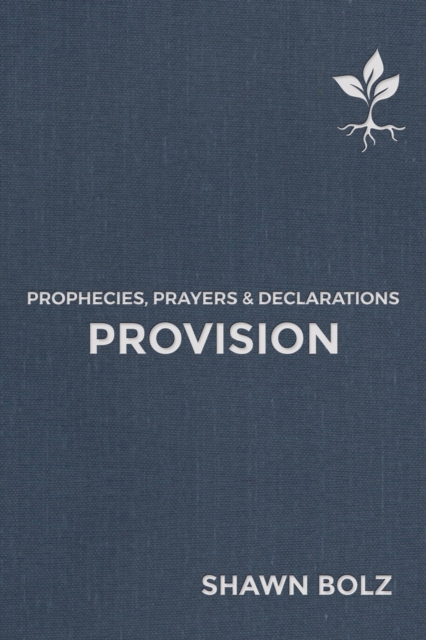 Book Cover for Provision by Shawn Bolz