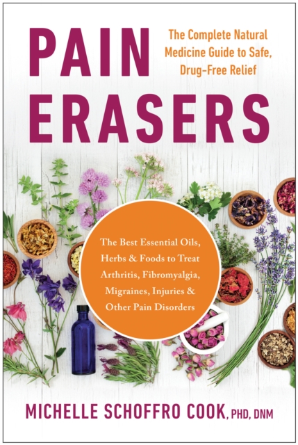 Book Cover for Pain Erasers by Cook, Michelle Schoffro