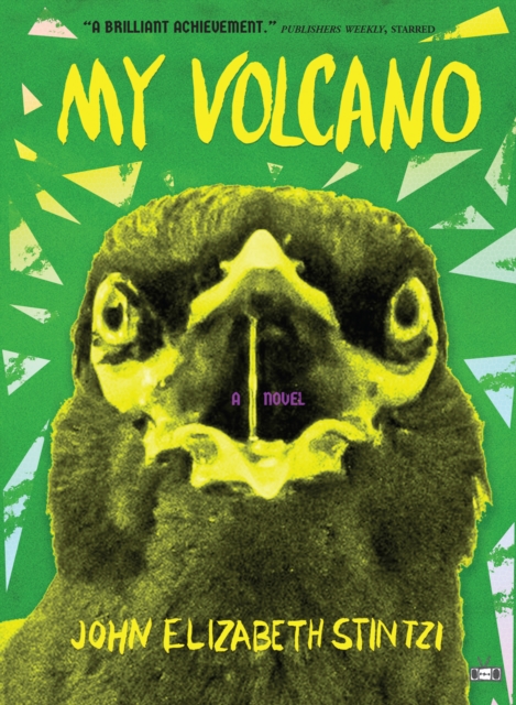 Book Cover for My Volcano by John Elizabeth Stintzi