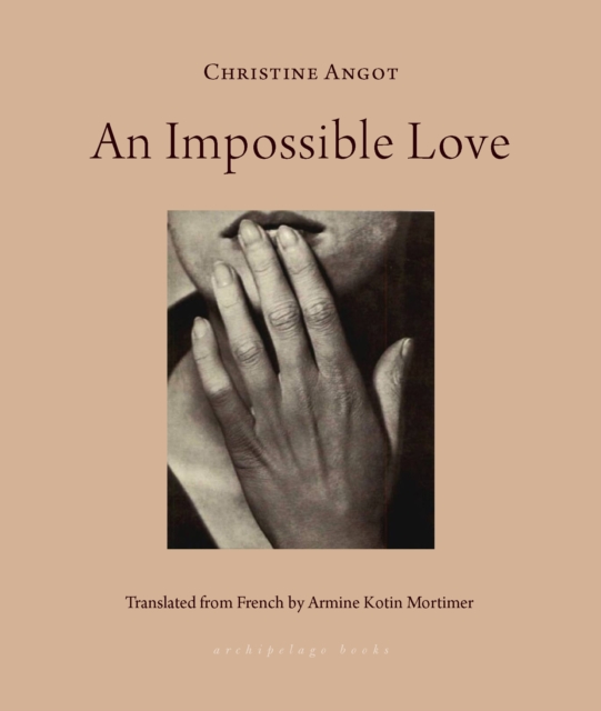 Book Cover for Impossible Love by Christine Angot