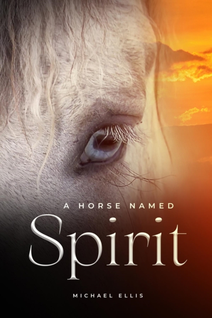 Book Cover for Horse Named Spirit by Michael Ellis