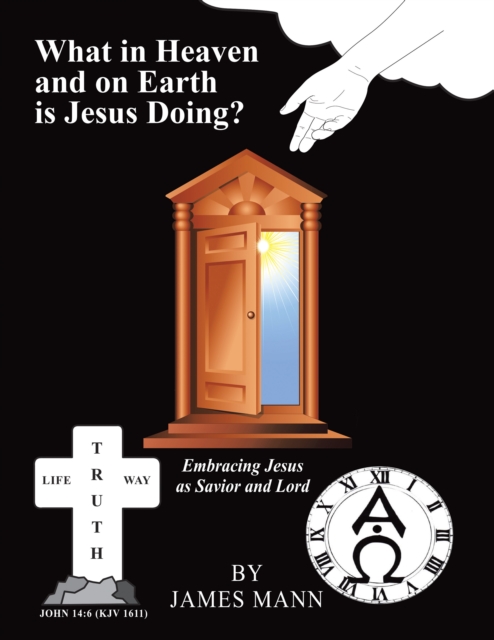 Book Cover for What in Heaven and on Earth Is Jesus Doing? by James Mann