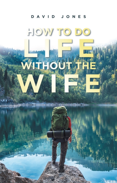 Book Cover for How to Do Life Without the Wife by David Jones