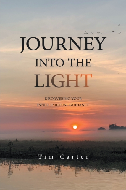 Book Cover for Journey into the Light by Tim Carter