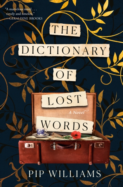 Book Cover for Dictionary of Lost Words by Pip Williams