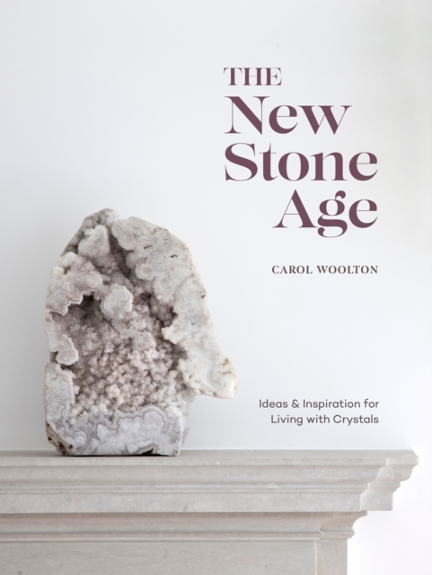 Book Cover for New Stone Age by Carol Woolton