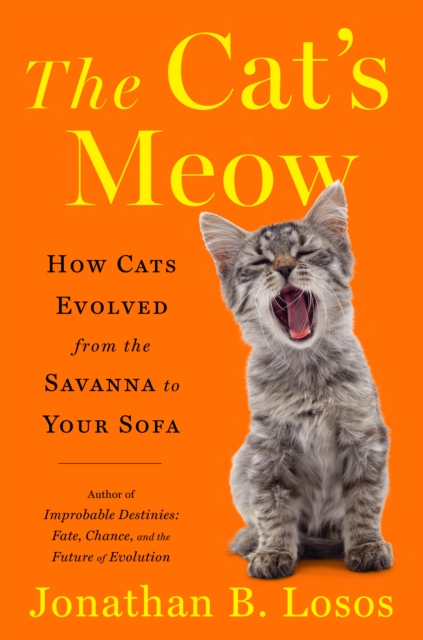 Book Cover for Cat's Meow by Losos, Jonathan B.