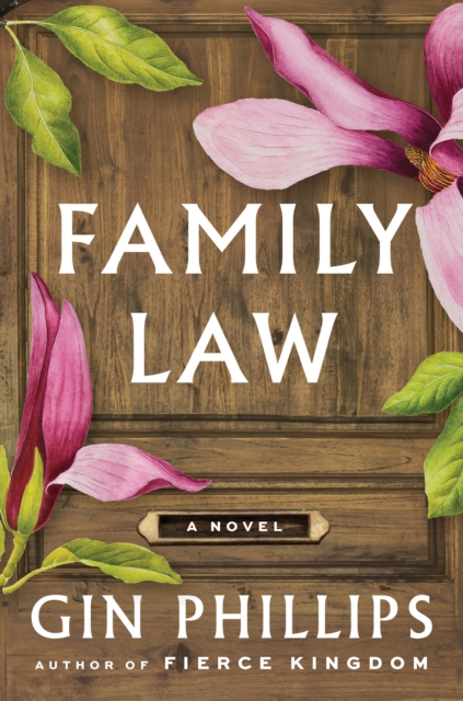 Book Cover for Family Law by Gin Phillips