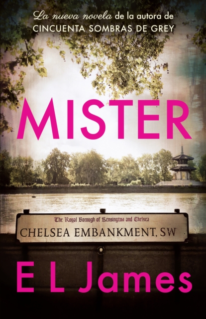 Book Cover for Mister (En español) by James, E L