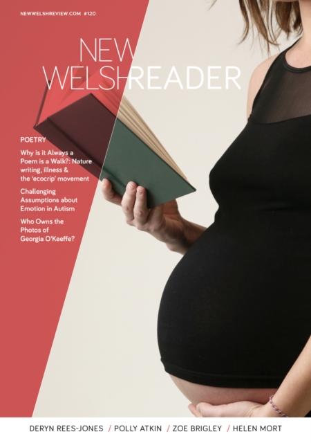 Book Cover for New Welsh Reader 120 (Summer 2019) by Deryn Rees-Jones