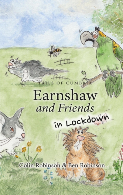 Book Cover for Earnshaw and Friends in Lockdown by Colin Robinson