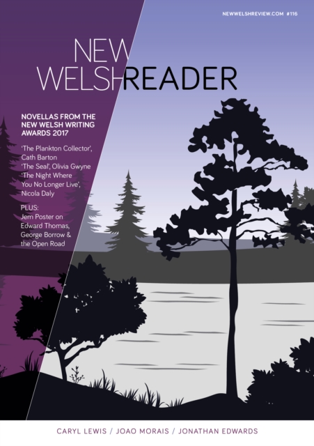 Book Cover for New Welsh Reader 116 (Winter 2017) by Caryl Lewis