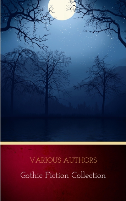 Book Cover for Gothic Fiction Collection by Various Authors