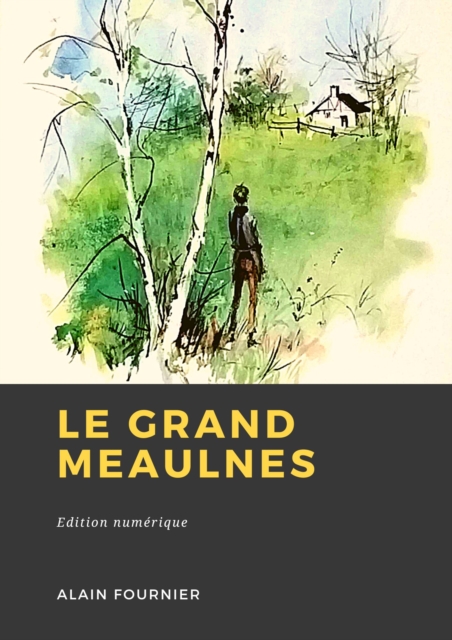 Book Cover for Le Grand Meaulnes by Alain-Fournier