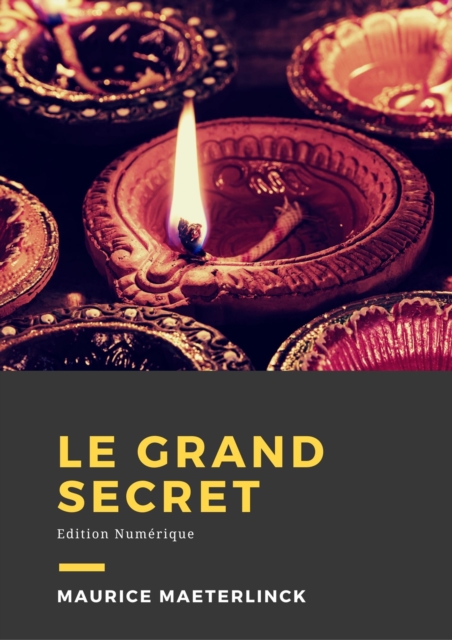 Book Cover for Le grand secret by Maurice Maeterlinck