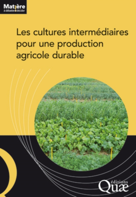 Book Cover for Les cultures intermédiaires pour une production agricole durable by Collectif