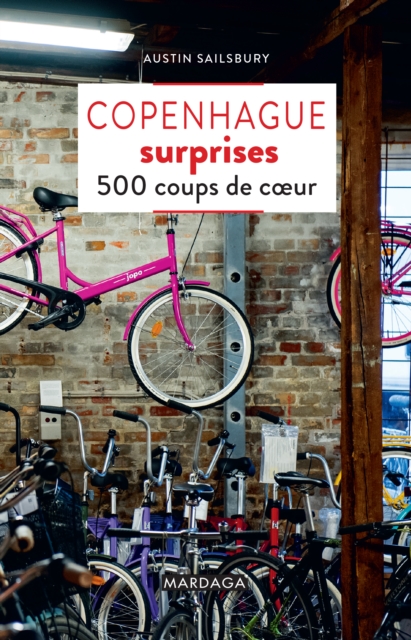 Book Cover for Copenhague surprises by Austin Sailsbury