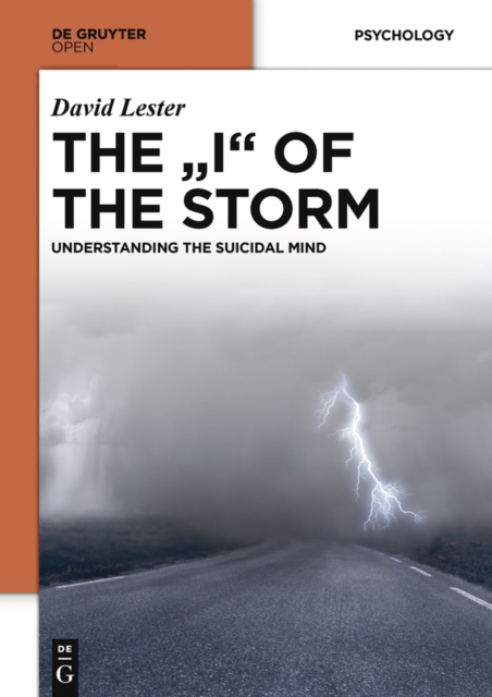 Book Cover for THE &quote;I&quote; OF THE STORM by David Lester