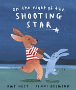 Book Cover for On the Night of the Shooting Star by Amy Hest