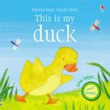 Book Cover for This is my Duck by Felicity Brooks