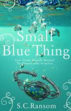 Book Cover for Small Blue Thing by S. C. Ransom