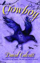 Book Cover for Crowboy by David Calcutt