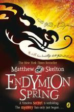 Book Cover for Endymion Spring by Matthew Skelton