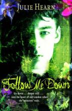 Book Cover for Follow Me Down by Julie Hearn