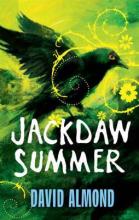 Book Cover for Jackdaw Summer by David Almond