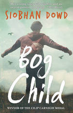 Book Cover for Bog Child by Siobhan Dowd