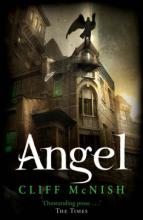 Book Cover for Angel by Cliff Mcnish