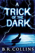 Book Cover for A Trick of the Dark by B  R  Collins