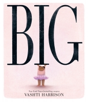 Book Cover for Big by Vashti Harrison