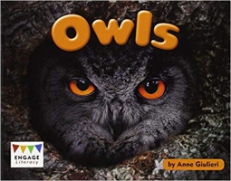 Book Cover for Owls by Anne Giulieri