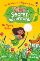 Book Cover for Tiny, the Secret Adventurer: The Mystery Visitor by Aisha Bushby