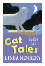 Book Cover for Cat Tales: Smoke Cat by Linda Newbery