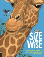 Book Cover for Size Wise by Camilla de la Bedoyere