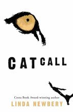 Book Cover for Catcall by Linda Newbery