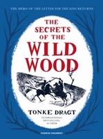 Book Cover for The Secrets of the Wild Wood by Tonke Dragt